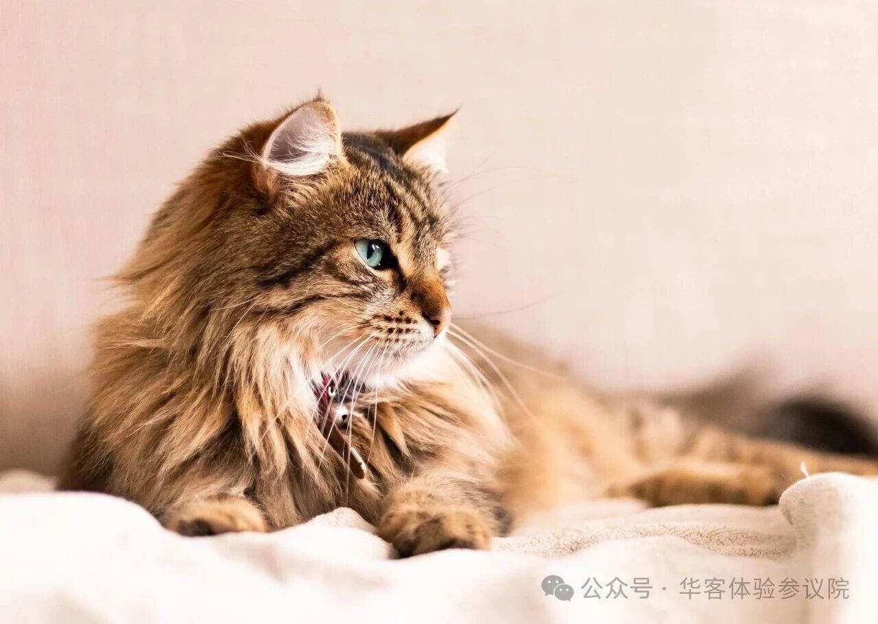 截图-20260728134440 截图-20260728134440